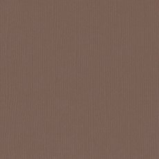 2928-094 Papier jednokolorowy dwustronny FLORENCE 30,5x30,5 cm -BEAR