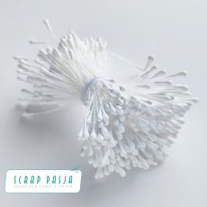 SP-ST001 Pręciki do kwiatów - biel