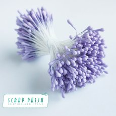 SP-ST008 Pręciki do kwiatów - jasny fiolet