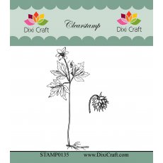 STAMP0135 Stemple Dixi Craft - Botanical Collection-rośliny 1