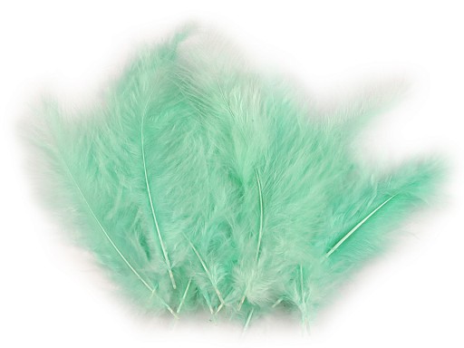  150437-31 Pióra strusie - kolor miętowy