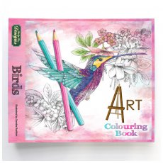 042004CBBR Zestaw  do kolorowania- Ptaki