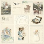 PD1611 Papier jednostronny 30,5x30,5cm- Sweet Baby II