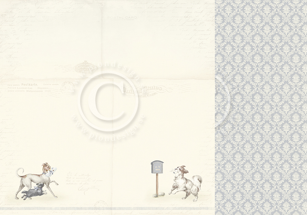 PD12002 Papier dwustronny 30,5x30,5cm- You've got mail ? Our Furry Friends