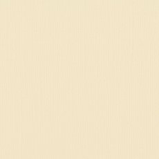 2928-002 Papier jednokolorowy dwustronny FLORENCE 30,5x30,5 cm - RAFFIA