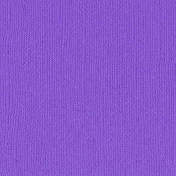 2928-041 Papier jednokolorowy dwustronny FLORENCE 30,5x30,5 cm -VIOLET