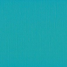 2928-061 Papier jednokolorowy dwustronny FLORENCE 30,5x30,5 cm - FROSTING