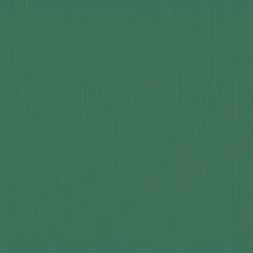 2928-078 Papier jednokolorowy dwustronny FLORENCE 30,5x30,5 cm -PINE