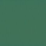 2928-078 Papier jednokolorowy dwustronny FLORENCE 30,5x30,5 cm -PINE