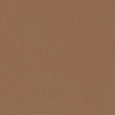 2928-089 Papier jednokolorowy dwustronny FLORENCE 30,5x30,5 cm -LION