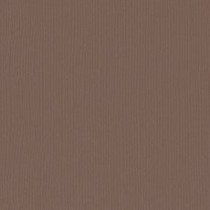 2928-094 Papier jednokolorowy dwustronny FLORENCE 30,5x30,5 cm -BEAR