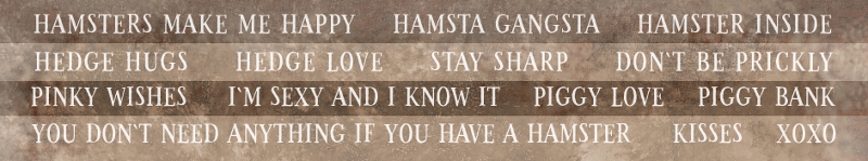 Terra Incognita-Pasek papieru z napisami ENG 5,5x30cm UHK Gallery