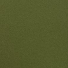 2926-073 Papier gładki Florence  30,5x30,5 cm - 216g - Olive