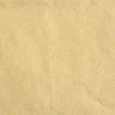 2926-099 Papier gładki Florence  30,5x30,5 cm - 216g - Kraft light