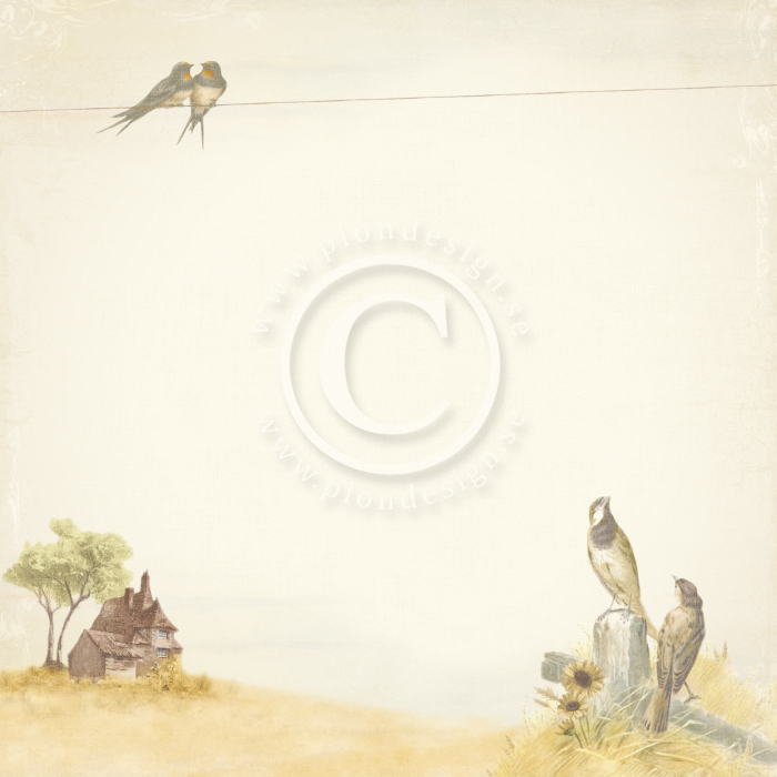 PD9601 Papier dwustronny 30,5x30,5cm -Summer Falls into Autumn- September Morning