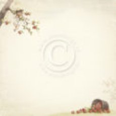 PD9605 Papier dwustronny 30,5x30,5cm -Summer Falls into Autumn- Apple orchard