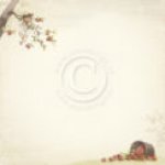 PD9605 Papier dwustronny 30,5x30,5cm -Summer Falls into Autumn- Apple orchard