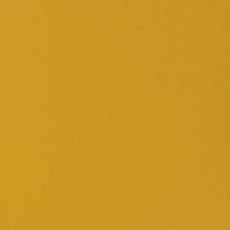 2926-006 Papier gładki Florence  30,5x30,5 cm - 216g - Honey