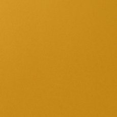 2926-009 Papier gładki Florence  30,5x30,5 cm - 216g - Bee