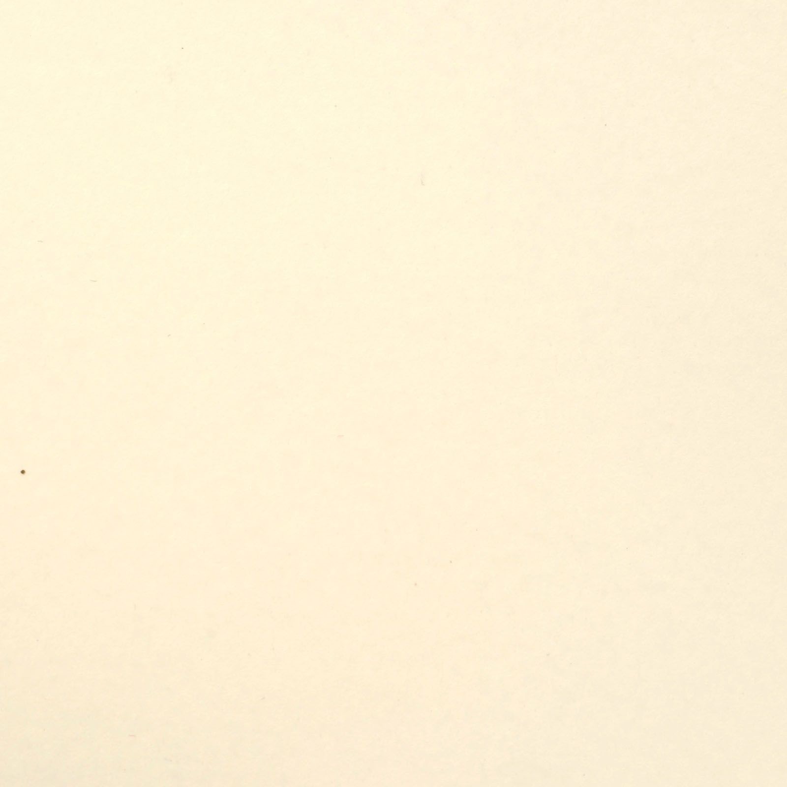 2926-097 Papier gładki Florence 30,5x30,5 cm - 216g - White smooth