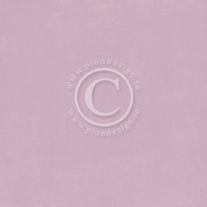 PD26011 Papier dwustronny 30,5x30,5cm-New Beginnings-Little things