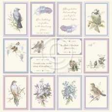 PD1646 Papier jednostronny 30,5x30,5cm-New Beginnings II-Images from the Past