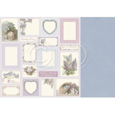 PD26012 Papier dwustronny 30,5x30,5cm-New Beginnings-The early bird