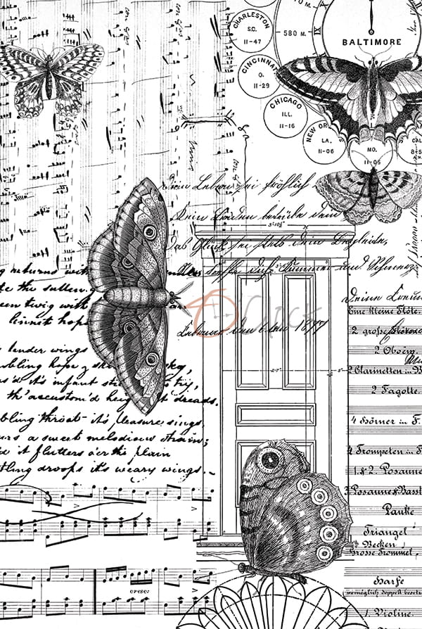 CC-MM-K-03 MM - OZDOBNA KALKA - ARKUSZ - 03