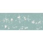 RENPAS-105 Pastele suche Renesans - szarość królewska