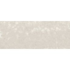 RENPAS-115 Pastele suche Renesans - szarość perłowa ciemna