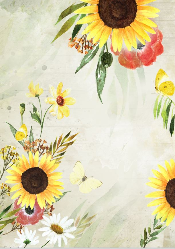 CR08-BM02 Papier ryżowy - Craft&You Design A4 BLOSSOM MEADOW 02