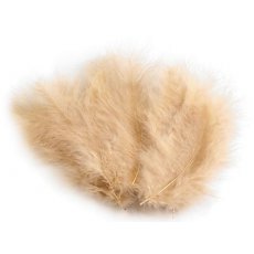 150437-24 Pióra strusie - kolor kremowy