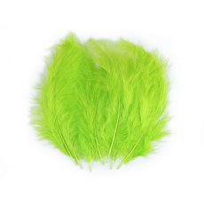 150437-52 Pióra strusie - kolor limonkowy