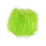 150437-52 Pióra strusie - kolor limonkowy