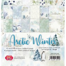 CPS-AW30 Zestaw papierów 30,5x30,5cm-Craft&You Design - ARCTIC WINTER