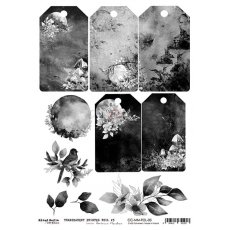 CC-MM-FOL-03 - FOLIA TRANSPARENTNA  - ARKUSZ - 03