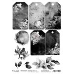 CC-MM-FOL-03 - FOLIA TRANSPARENTNA - ARKUSZ - 03