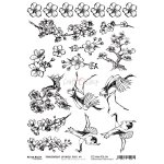 CC-MM-FOL-04- FOLIA TRANSPARENTNA - ARKUSZ - 04