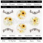 S-14  Okładka - Sunflowers - Arkusz Do Wycinania 30,5x30,5cm ScrapAndMe