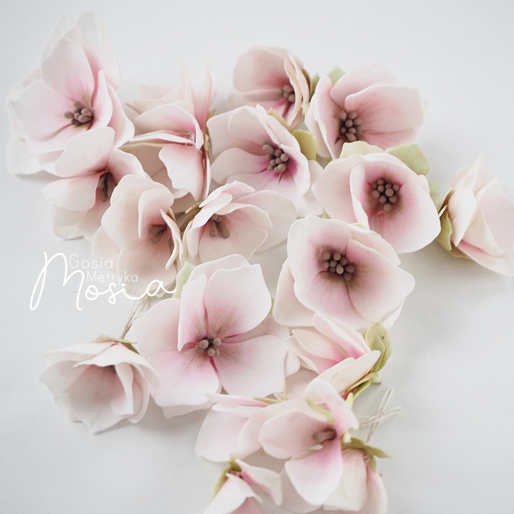 CW141 Wykrojnik /Die-Anemone Flowers - Craft&You Design