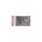 EF3D045 Folder do embossingu 3D ( A6 ) - Monstera