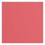 2928-027 Papier jednokolorowy dwustronny FLORENCE 30,5x30,5 cm -RHUBARB