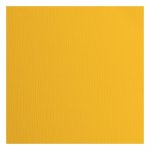 2928-006 Papier jednokolorowy dwustronny FLORENCE 30,5x30,5 cm -HONEY