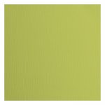 2928-070 Papier jednokolorowy dwustronny FLORENCE 30,5x30,5 cm -PISTACHIO