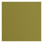 2928-079 Papier jednokolorowy dwustronny FLORENCE 30,5x30,5 cm -ACACIA