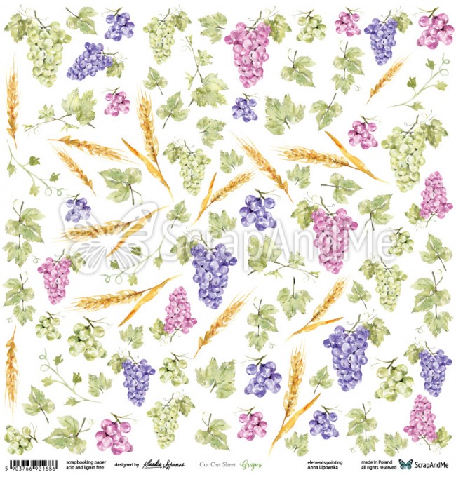 CB2-17 Grapes- Arkusz Do Wycinania - ScrapAndMe