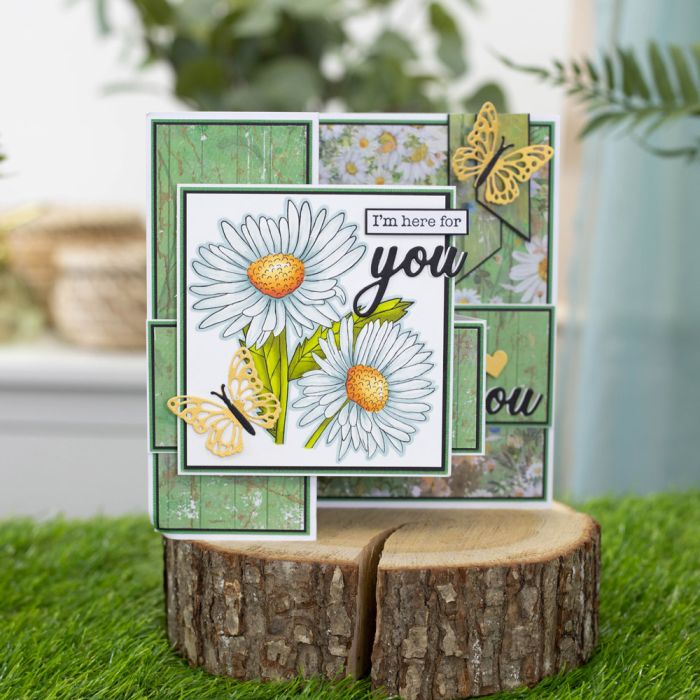 NG-DD-MD-SA Wykrojnik - Nature's Garden Delightful Daisies Die - Spring Accessories - wiosenne akcesoria