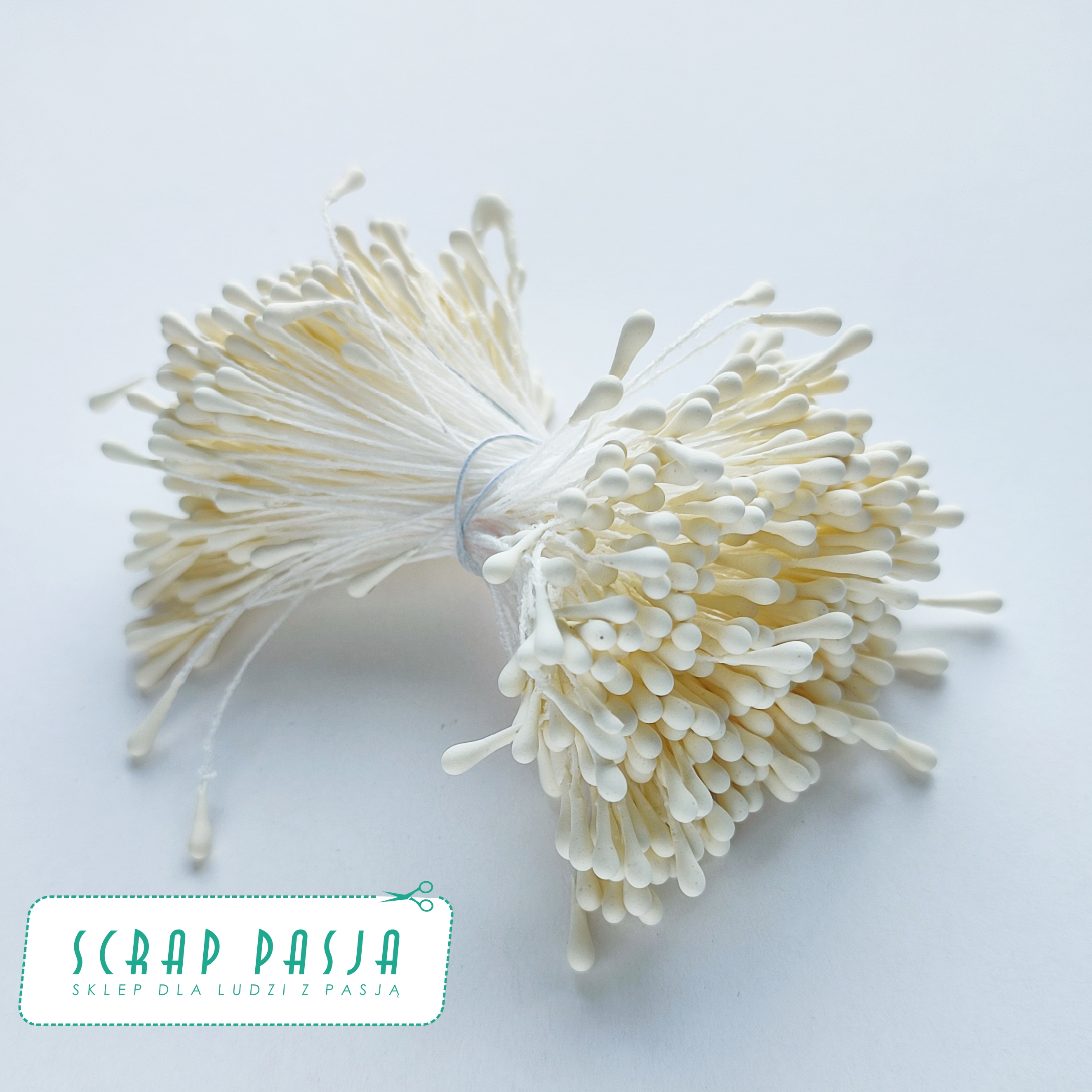 SP-ST002 Pręciki do kwiatów - wanilia