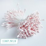 SP-ST004 Pręciki do kwiatów - pastelowy róż