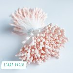 SP-ST005 Pręciki do kwiatów - pastelowa morela